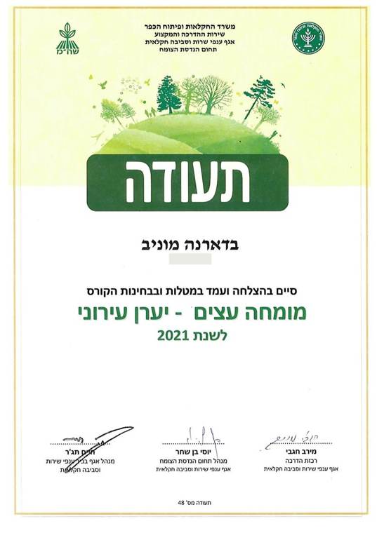 מומחה עצים – יערן עירוני